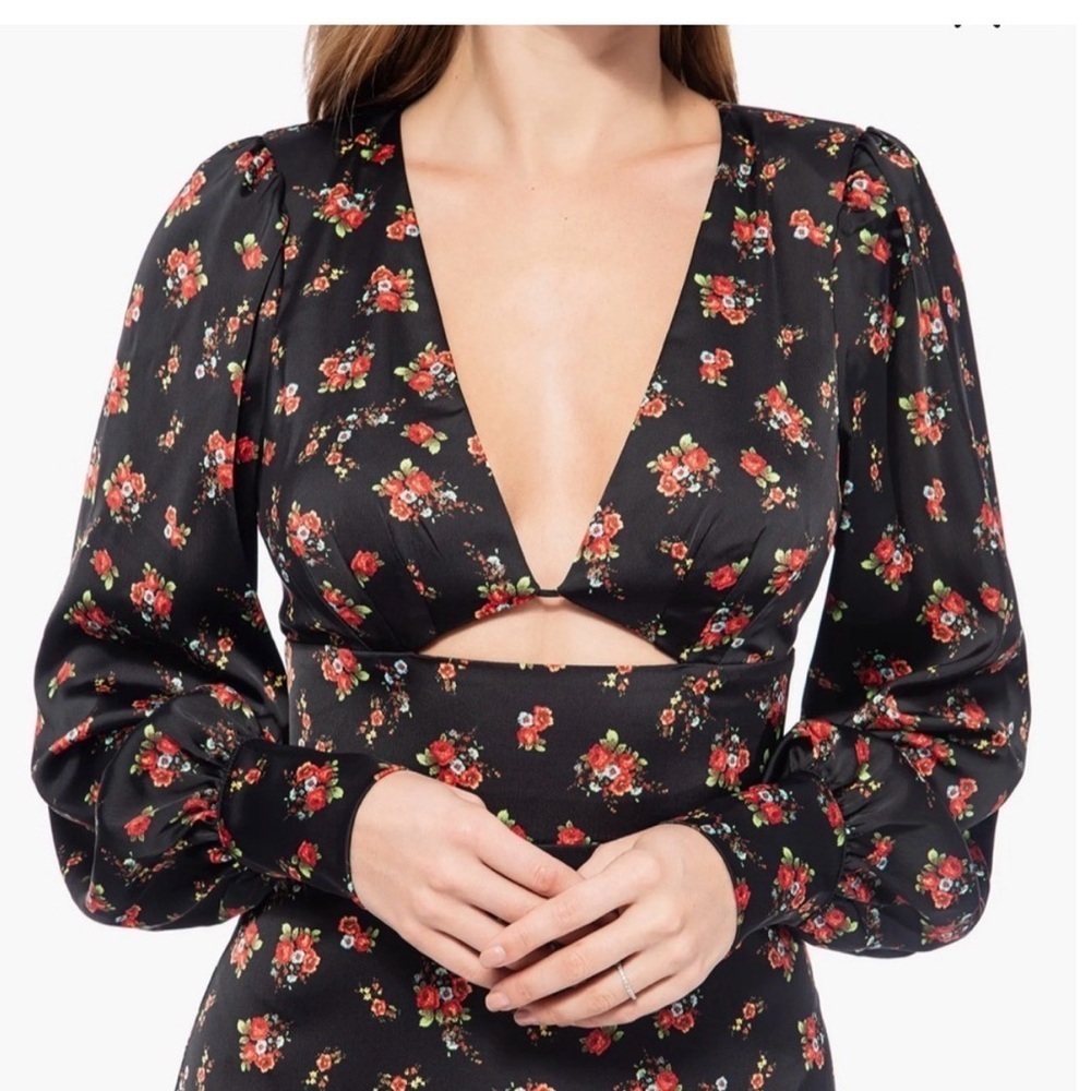 AFRM Viola Cutout Long Sleeve Midi Dress - Noir
Rose Garden - size small - Picture 3 of 9